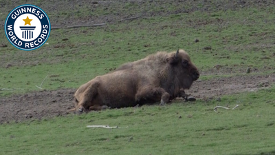 Greatest land migration