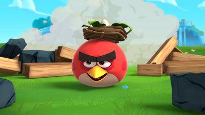 Pig Popping Explained!