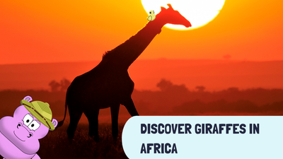 Discover Giraffes in Africa