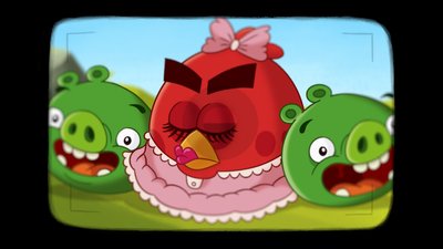 Angry Birds Compilation 11