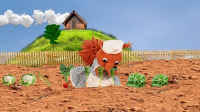 Vegetables from the garden