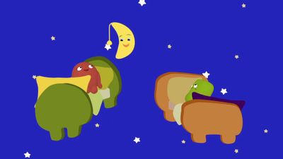 The Cucus' Flying Bed