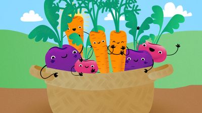 Carrot, Radish and Beetroot