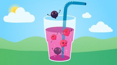 Red and Black Currant