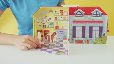 Veterinary ambulance