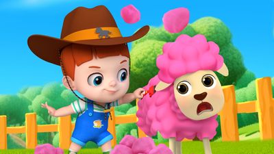 Where'S The Little Lamb?