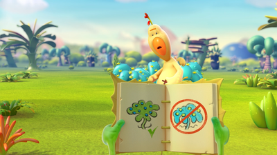 Berries And Mushrooms