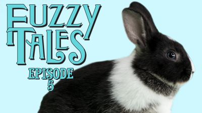 The Barking Duckling