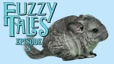 The Emperor’s Pretend Clothes