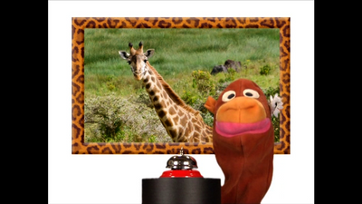 Wild Animal Safari