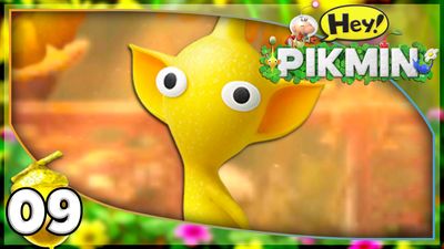 Pollution Pool & Drenchnozzle Den!