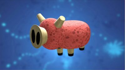 Spongy Pig