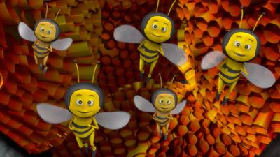 Honey of A Beehive
