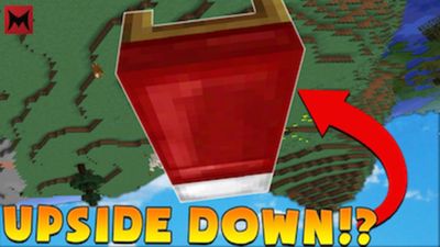 Upside Down Challenge