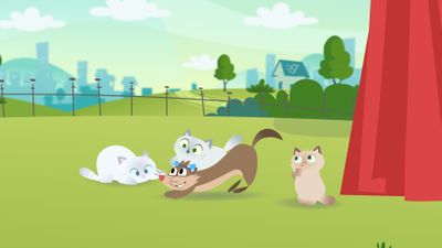 Los Bigotes de un Gato