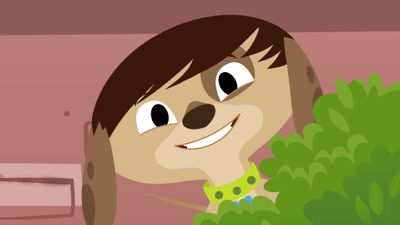 Las Patas de un Perro