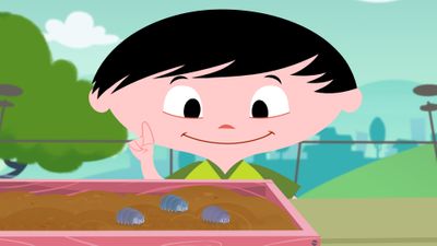 Diversión Roly Poly