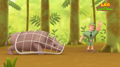 Sumatran Rhinocerous