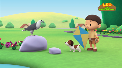 White-bellied Sea Eagle