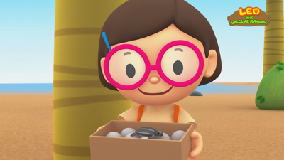 Leatherback Sea Turtle