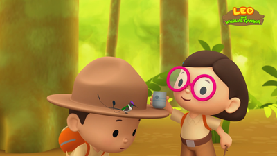 Marvellous Spatuletail