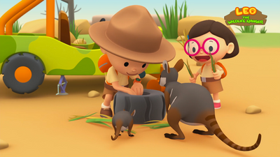 Yellow-footed Rock Wallaby