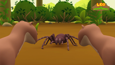 Goliath Birdeater Spider