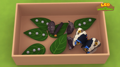 Blue Pansy Butterfly