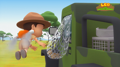 South African Cheetah