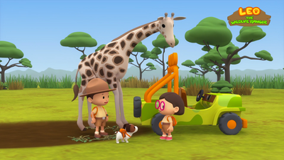 Rothschild’s Giraffe