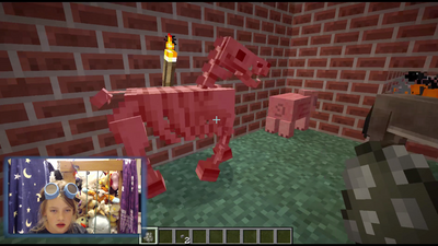 Explore an Animal House