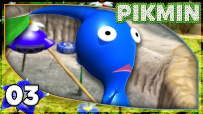 Exploring The Forest Navel!