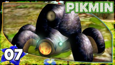 Locating The Forest of Hope!