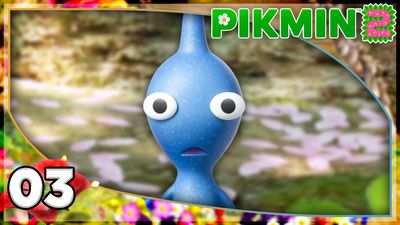 Venturing Through The White Flower Garden!