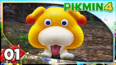 Rescue the Rescue Corps!