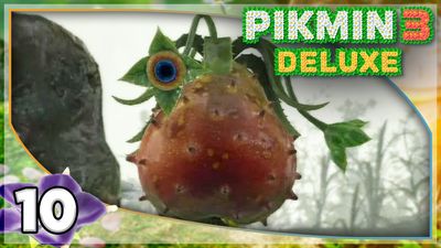 Find the Hocotatian!