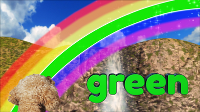 Learn Colors with Lizzy the Dog