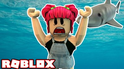 Shark Attack!