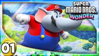 Welcome To Flower Kingdom!